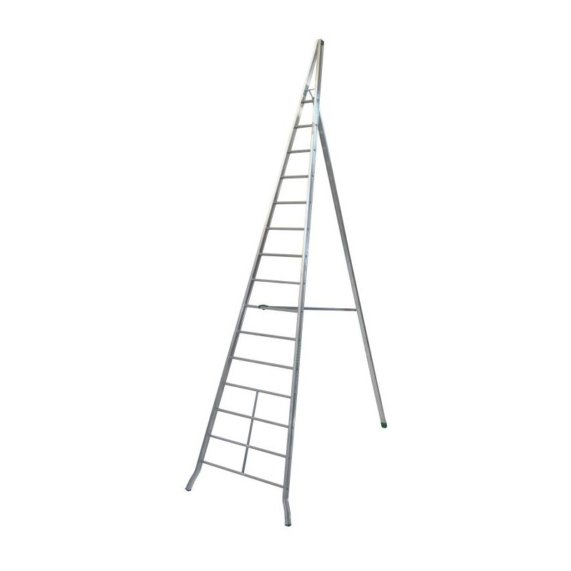 FRUIT LADDER AGRI - 5 m