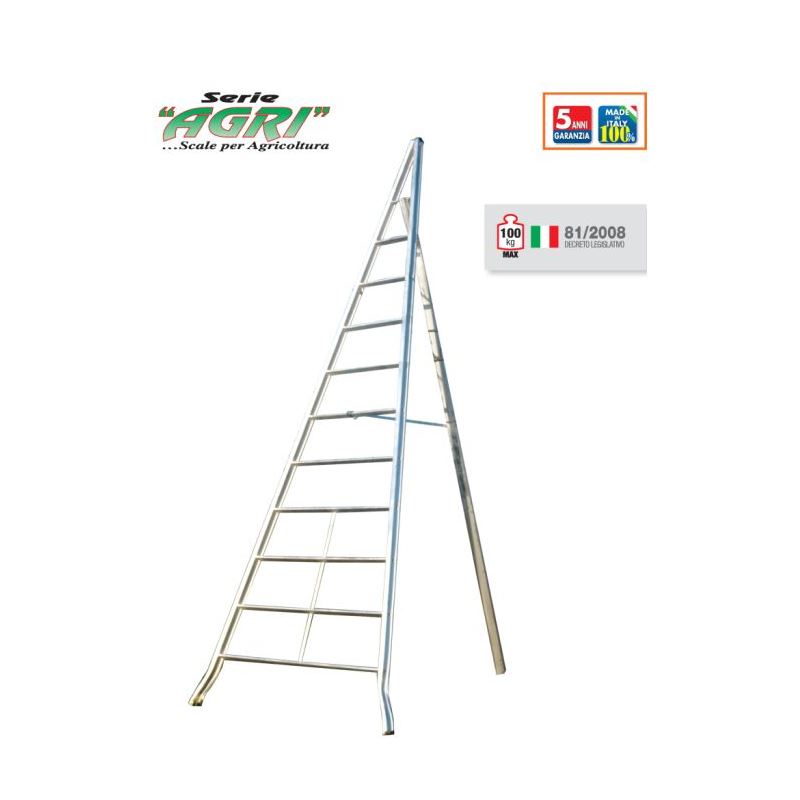 FRUIT LADDER AGRI